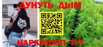 Альфа ПВП Новозыбков